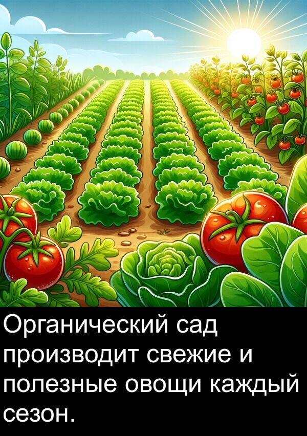 свежие: Органический сад производит свежие и полезные овощи каждый сезон.