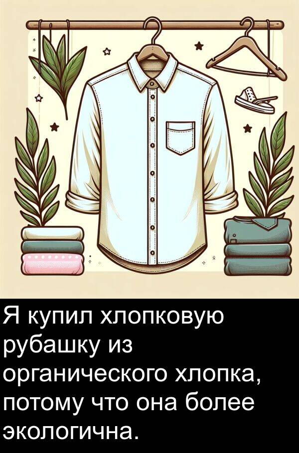 хлопка: Я купил хлопковую рубашку из органического хлопка, потому что она более экологична.