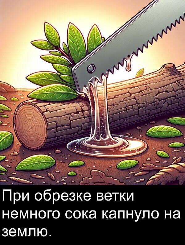 ветки: При обрезке ветки немного сока капнуло на землю.