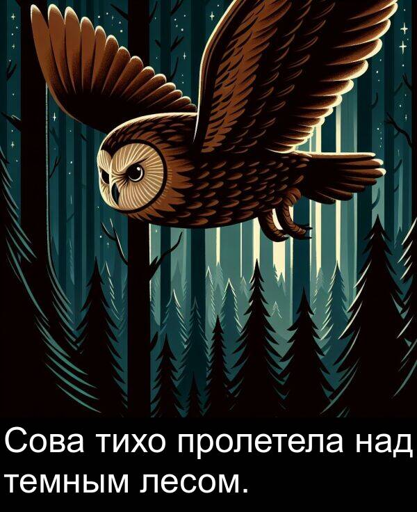 над: Сова тихо пролетела над темным лесом.