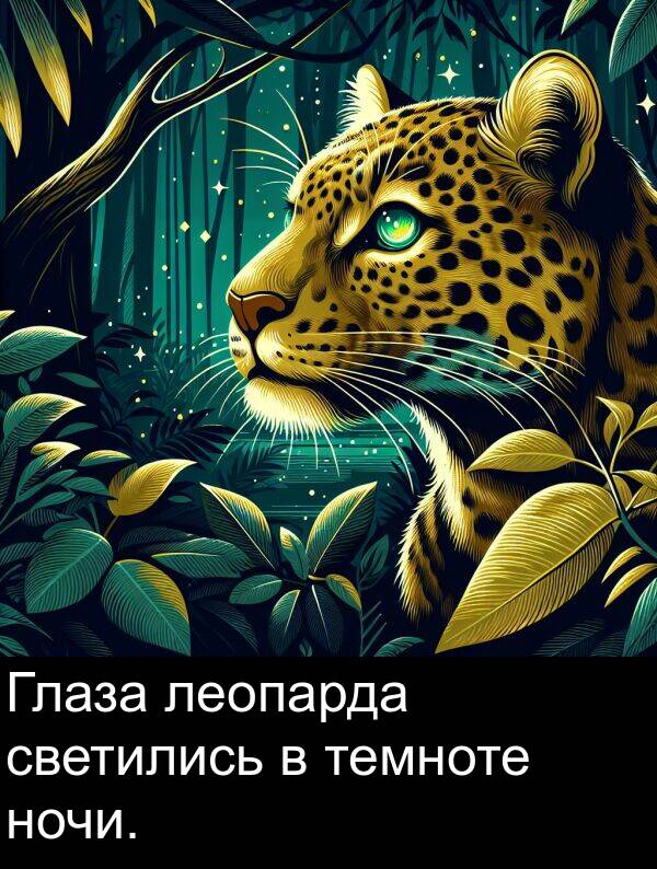 светились: Глаза леопарда светились в темноте ночи.