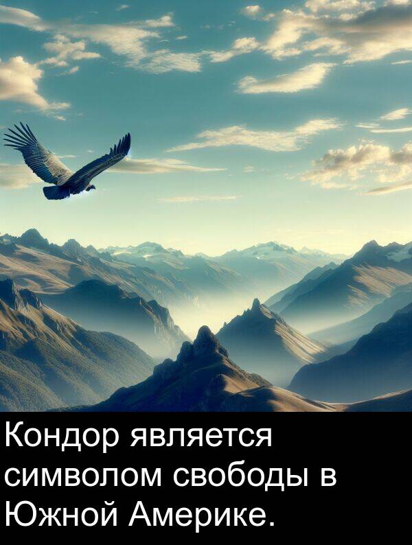 свободы: Кондор является символом свободы в Южной Америке.