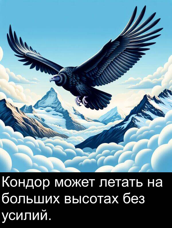 без: Кондор может летать на больших высотах без усилий.