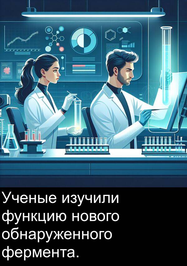 изучили: Ученые изучили функцию нового обнаруженного фермента.