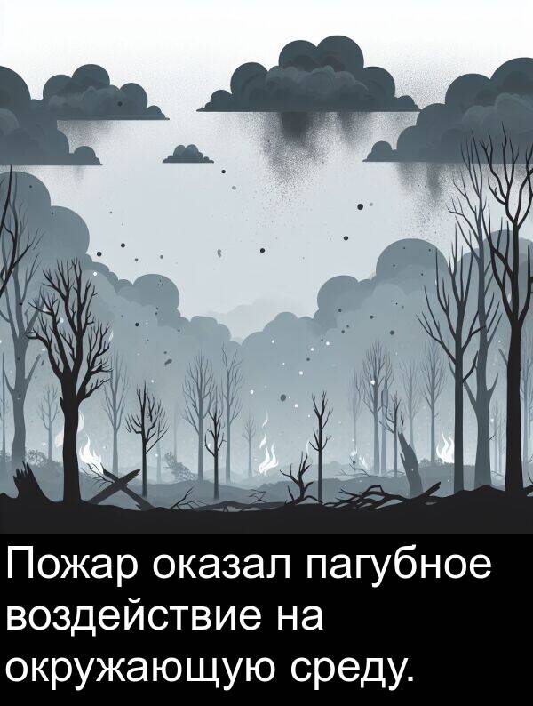 пагубное: Пожар оказал пагубное воздействие на окружающую среду.