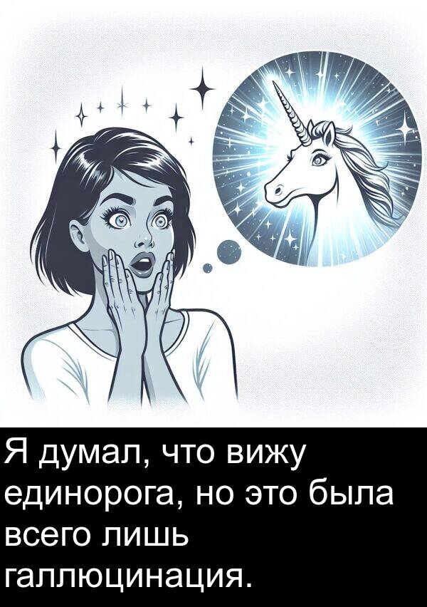 галлюцинация: Я думал, что вижу единорога, но это была всего лишь галлюцинация.