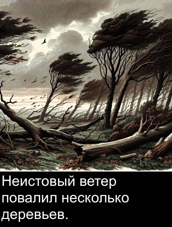 несколько: Неистовый ветер повалил несколько деревьев.