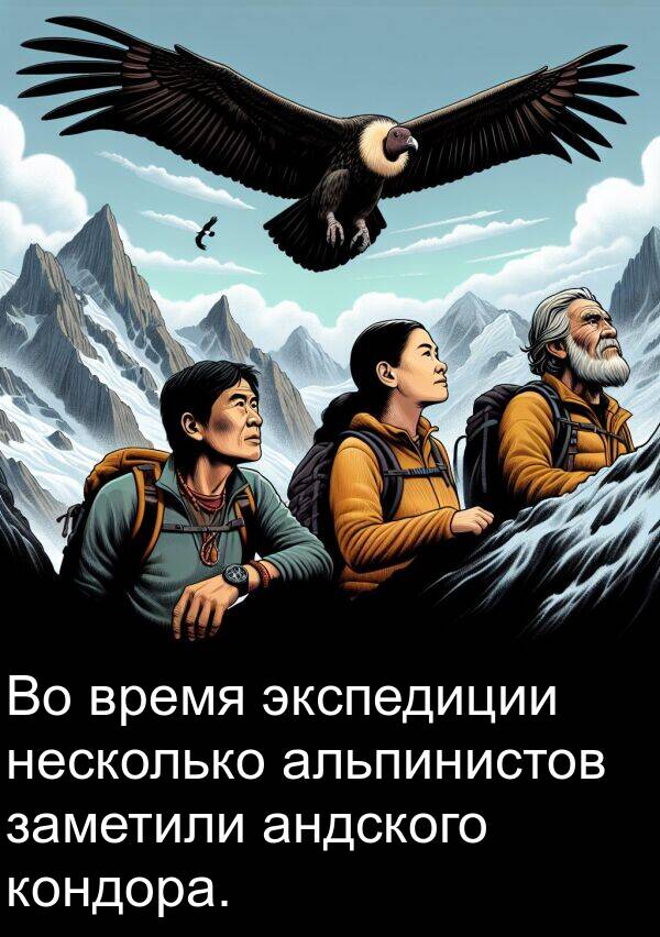 альпинистов: Во время экспедиции несколько альпинистов заметили андского кондора.