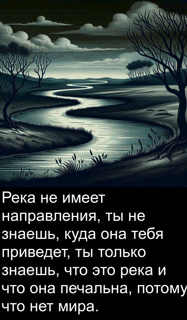 знаешь: Река не имеет направления, ты не знаешь, куда она тебя приведет, ты только знаешь, что это река и что она печальна, потому что нет мира.