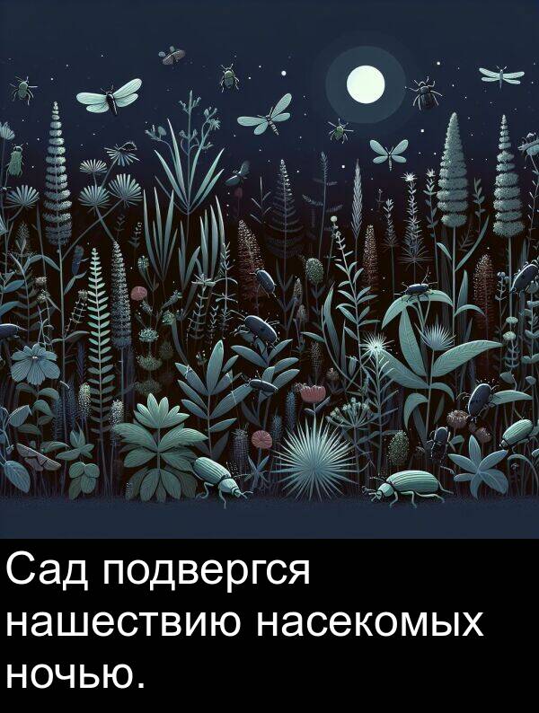 насекомых: Сад подвергся нашествию насекомых ночью.