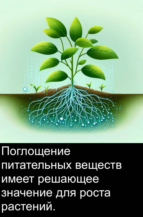 значение: Поглощение питательных веществ имеет решающее значение для роста растений.