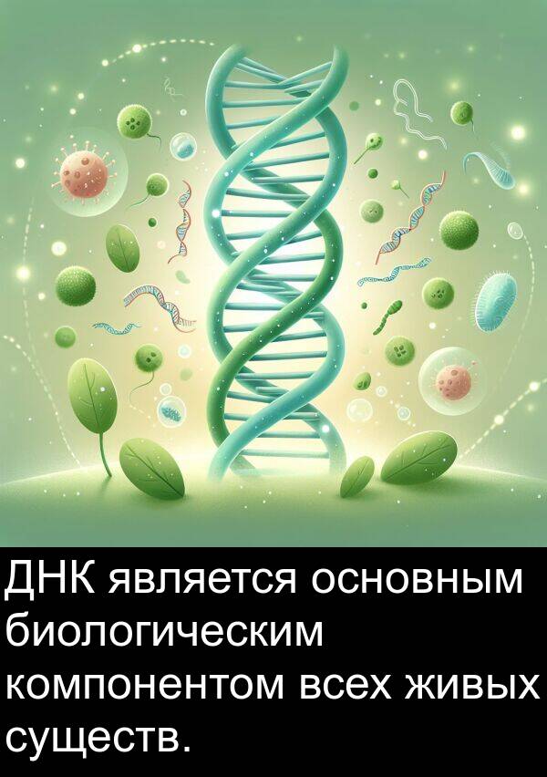 всех: ДНК является основным биологическим компонентом всех живых существ.