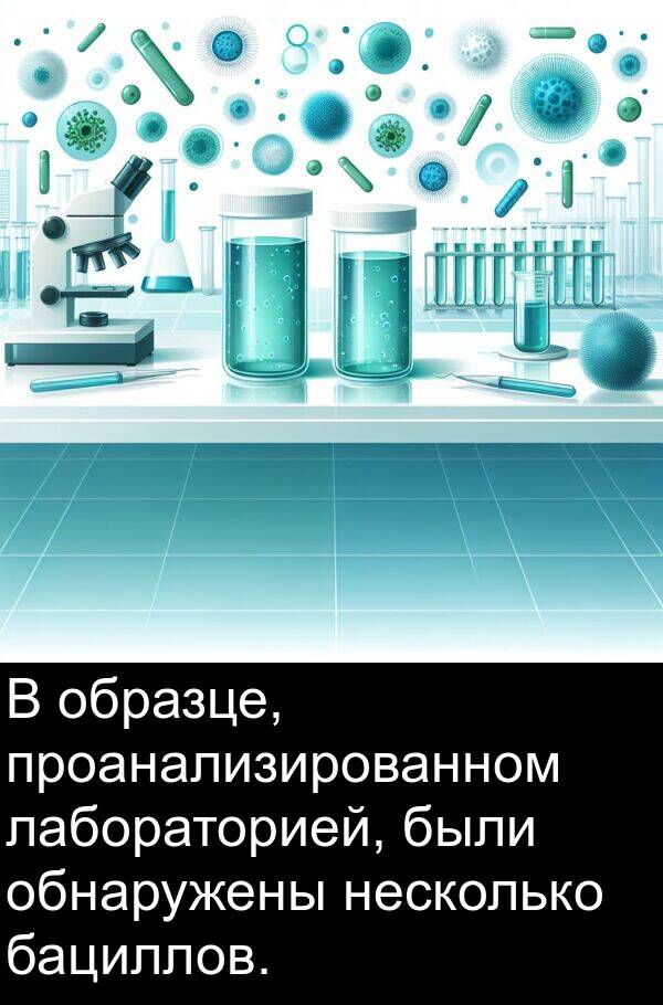 были: В образце, проанализированном лабораторией, были обнаружены несколько бациллов.