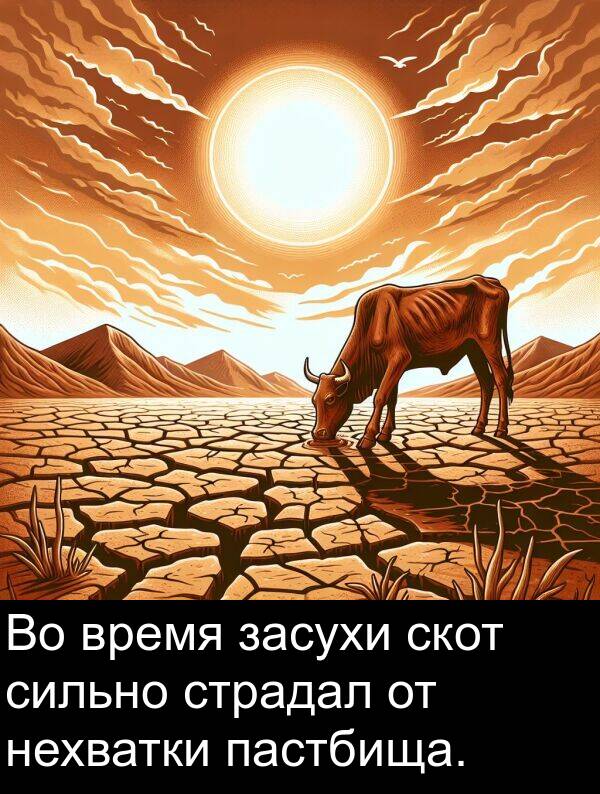 засухи: Во время засухи скот сильно страдал от нехватки пастбища.