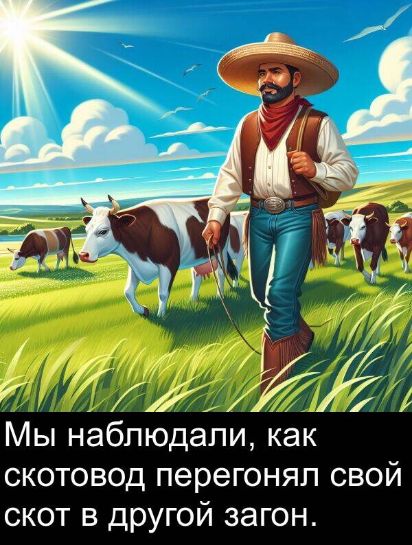 загон: Мы наблюдали, как скотовод перегонял свой скот в другой загон.