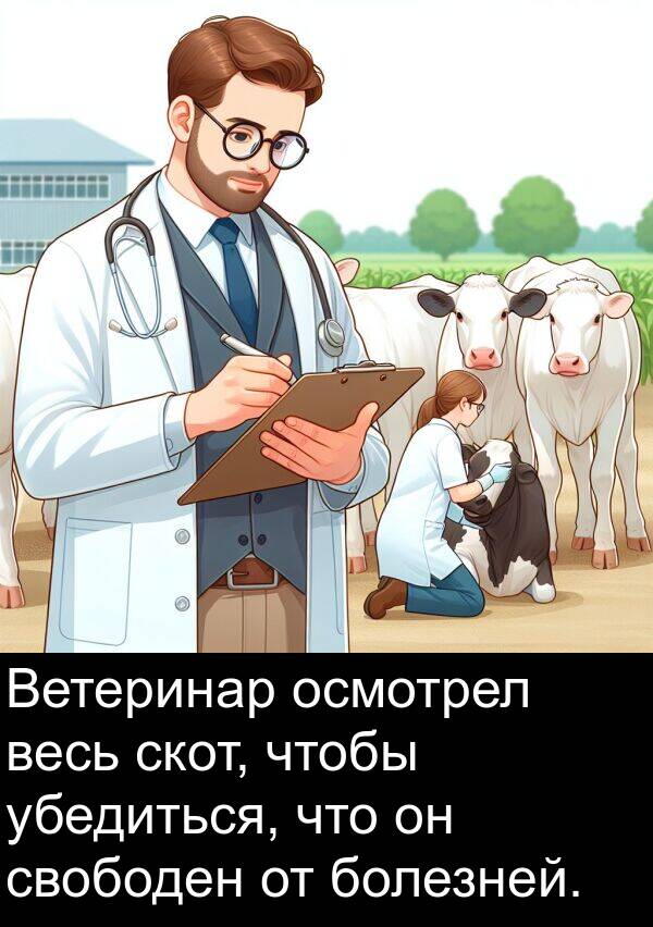 свободен: Ветеринар осмотрел весь скот, чтобы убедиться, что он свободен от болезней.