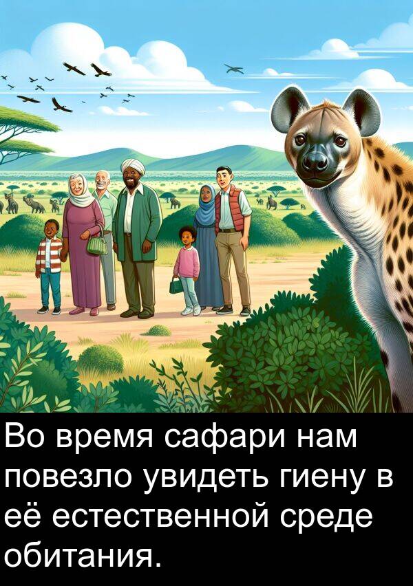 увидеть: Во время сафари нам повезло увидеть гиену в её естественной среде обитания.