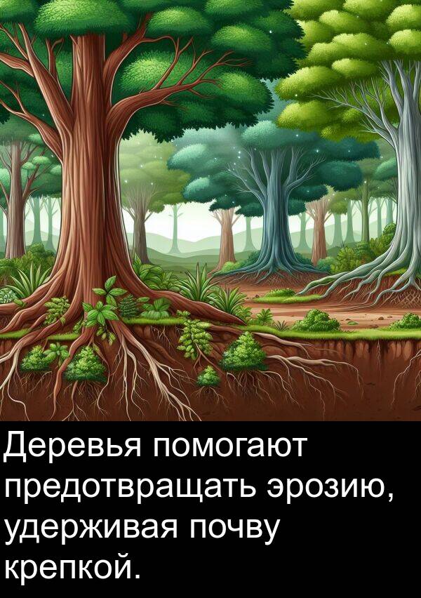 удерживая: Деревья помогают предотвращать эрозию, удерживая почву крепкой.