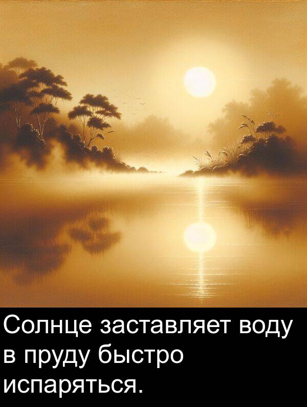 заставляет: Солнце заставляет воду в пруду быстро испаряться.