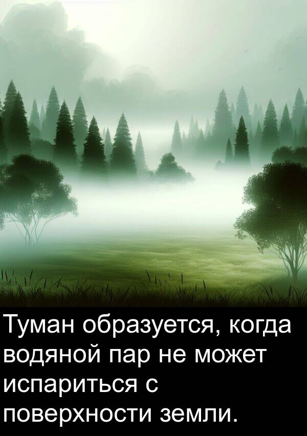 пар: Туман образуется, когда водяной пар не может испариться с поверхности земли.