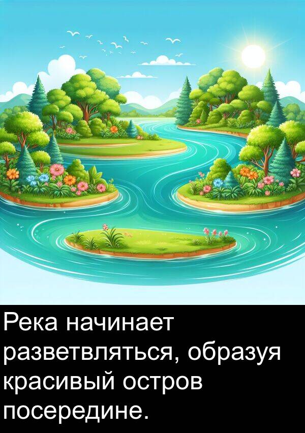 посередине: Река начинает разветвляться, образуя красивый остров посередине.