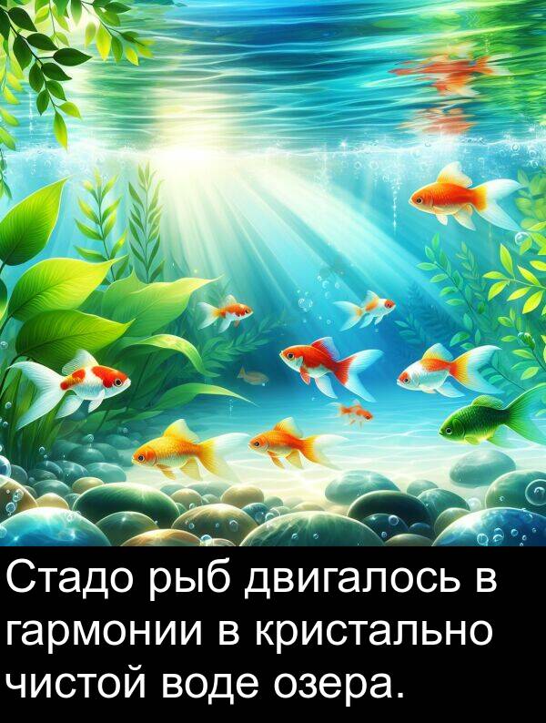 двигалось: Стадо рыб двигалось в гармонии в кристально чистой воде озера.