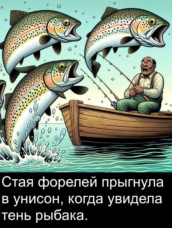 тень: Стая форелей прыгнула в унисон, когда увидела тень рыбака.