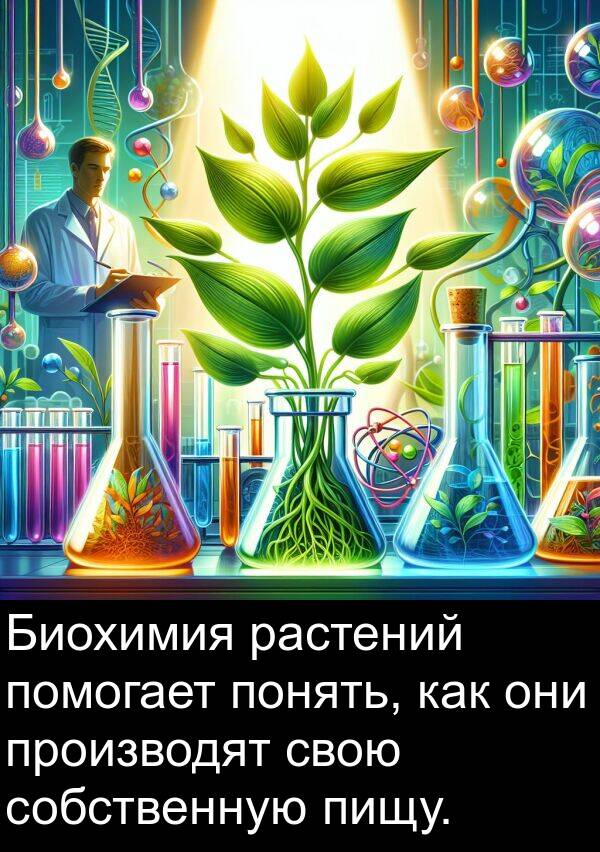 понять: Биохимия растений помогает понять, как они производят свою собственную пищу.