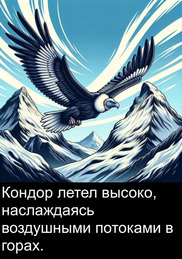 летел: Кондор летел высоко, наслаждаясь воздушными потоками в горах.