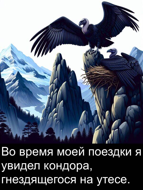 увидел: Во время моей поездки я увидел кондора, гнездящегося на утесе.