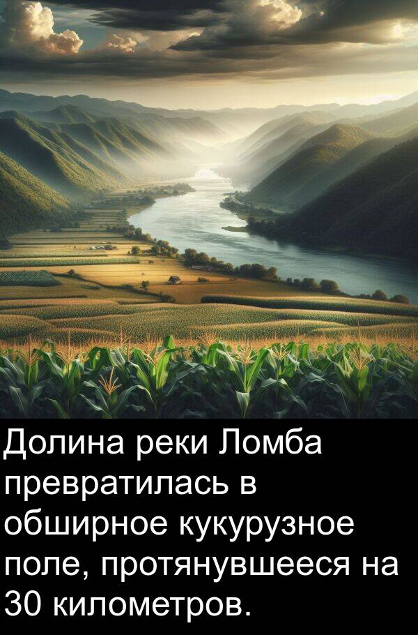 километров: Долина реки Ломба превратилась в обширное кукурузное поле, протянувшееся на 30 километров.
