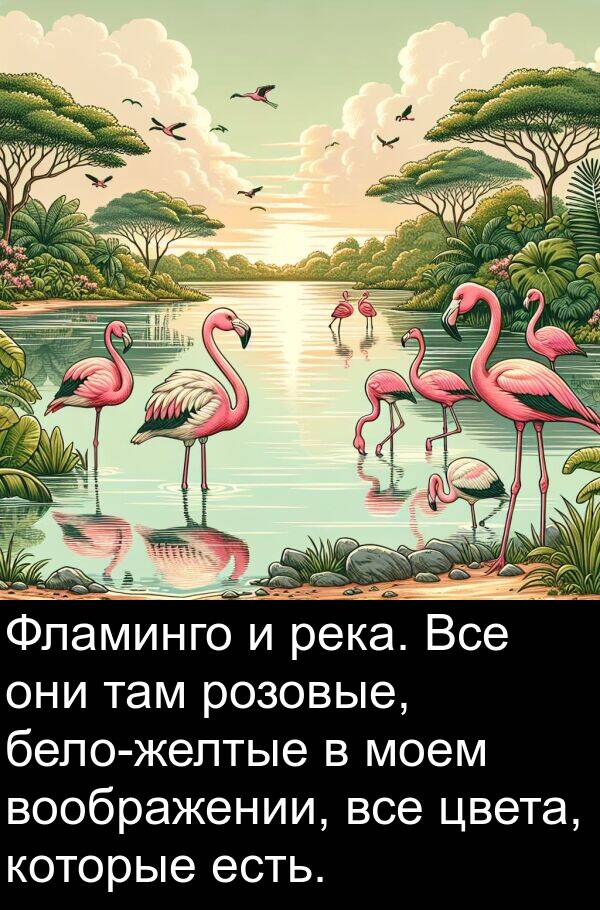 цвета: Фламинго и река. Все они там розовые, бело-желтые в моем воображении, все цвета, которые есть.