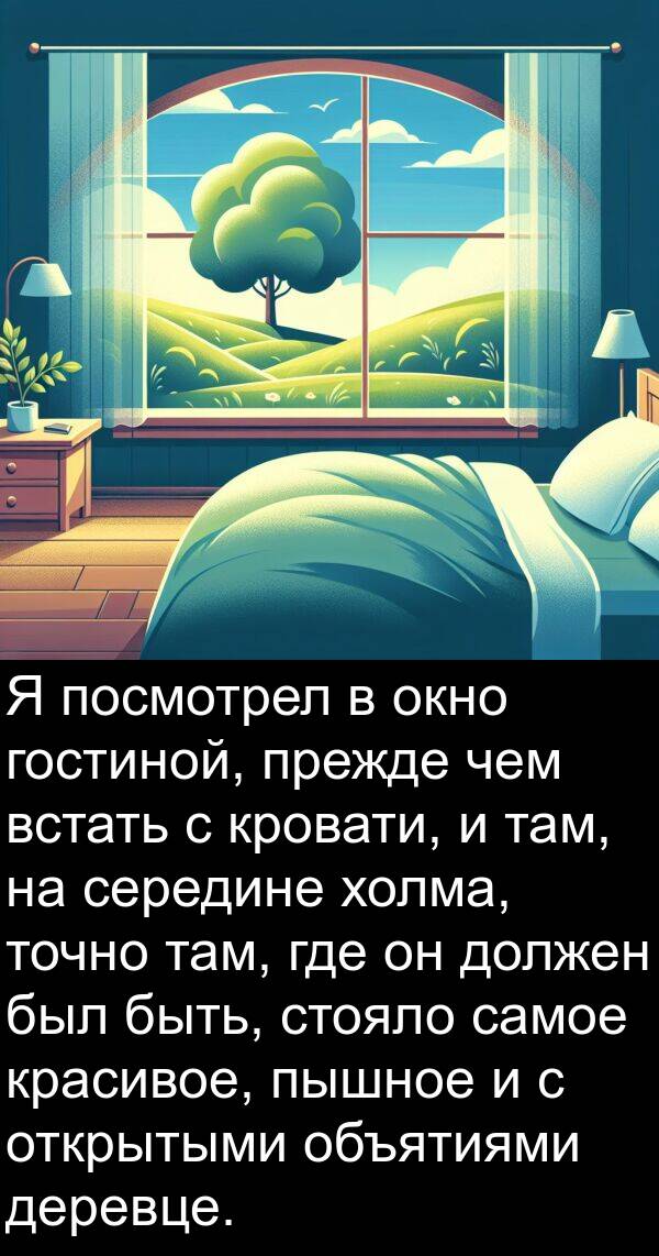 холма: Я посмотрел в окно гостиной, прежде чем встать с кровати, и там, на середине холма, точно там, где он должен был быть, стояло самое красивое, пышное и с открытыми объятиями деревце.