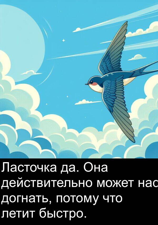 да: Ласточка да. Она действительно может нас догнать, потому что летит быстро.