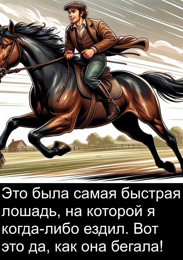 бегала: Это была самая быстрая лошадь, на которой я когда-либо ездил. Вот это да, как она бегала!