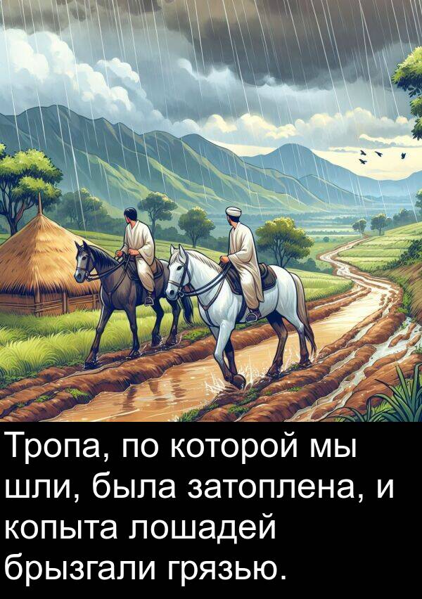 шли: Тропа, по которой мы шли, была затоплена, и копыта лошадей брызгали грязью.