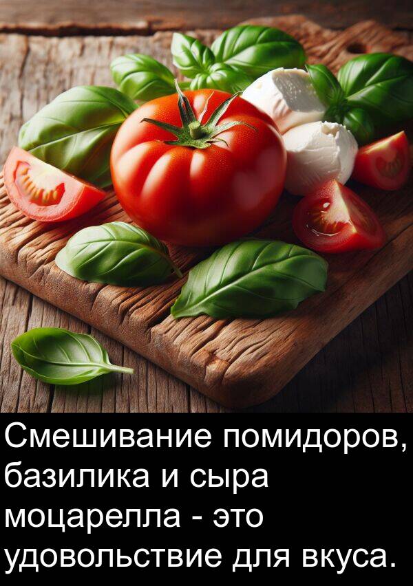 базилика: Смешивание помидоров, базилика и сыра моцарелла - это удовольствие для вкуса.