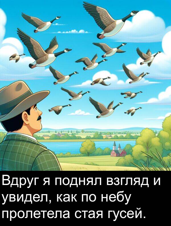 увидел: Вдруг я поднял взгляд и увидел, как по небу пролетела стая гусей.