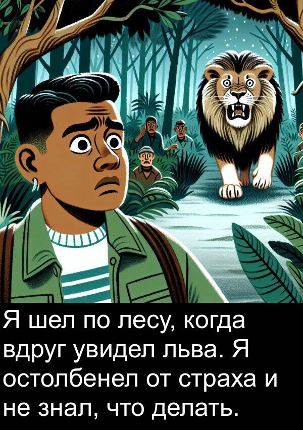 лесу: Я шел по лесу, когда вдруг увидел льва. Я остолбенел от страха и не знал, что делать.