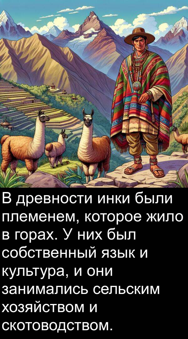 хозяйством: В древности инки были племенем, которое жило в горах. У них был собственный язык и культура, и они занимались сельским хозяйством и скотоводством.