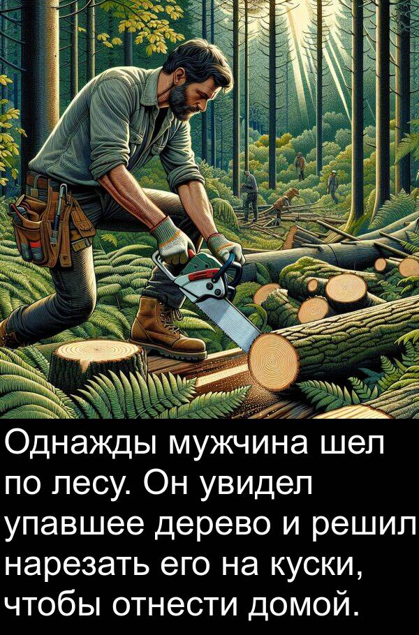 лесу: Однажды мужчина шел по лесу. Он увидел упавшее дерево и решил нарезать его на куски, чтобы отнести домой.