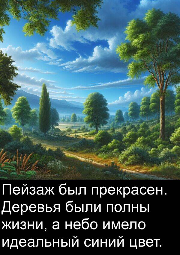 идеальный: Пейзаж был прекрасен. Деревья были полны жизни, а небо имело идеальный синий цвет.