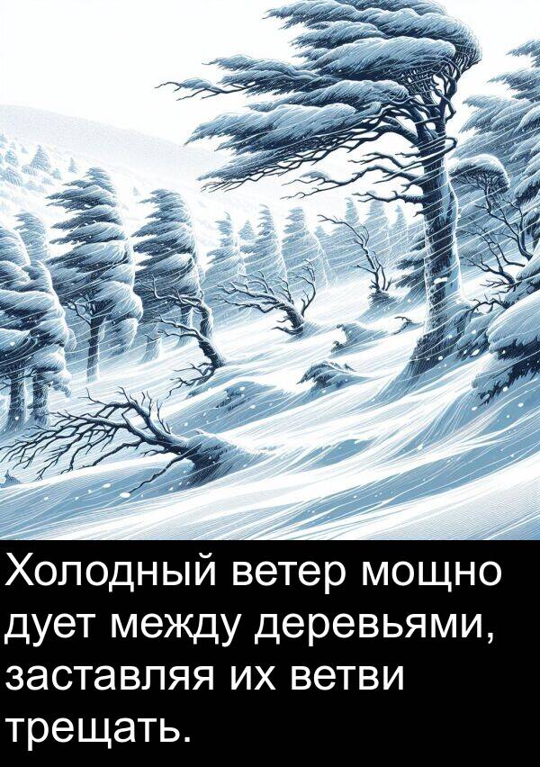 ветви: Холодный ветер мощно дует между деревьями, заставляя их ветви трещать.