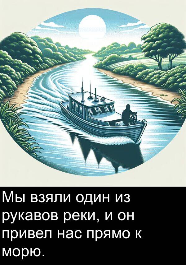 привел: Мы взяли один из рукавов реки, и он привел нас прямо к морю.