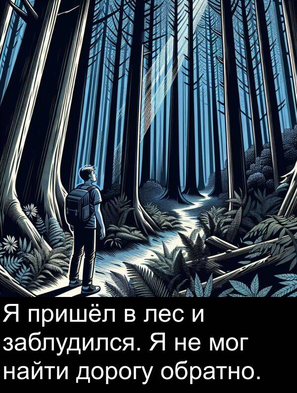 заблудился: Я пришёл в лес и заблудился. Я не мог найти дорогу обратно.