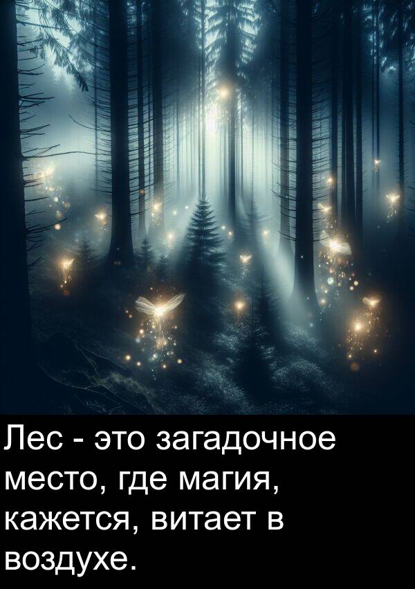 загадочное: Лес - это загадочное место, где магия, кажется, витает в воздухе.