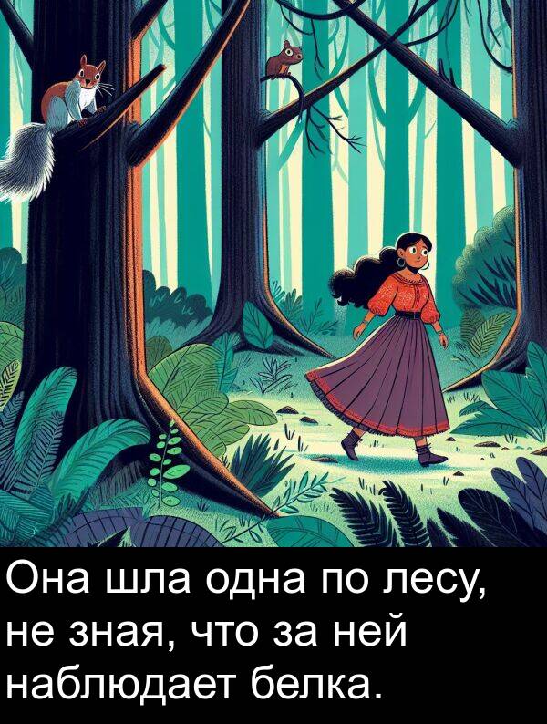 лесу: Она шла одна по лесу, не зная, что за ней наблюдает белка.