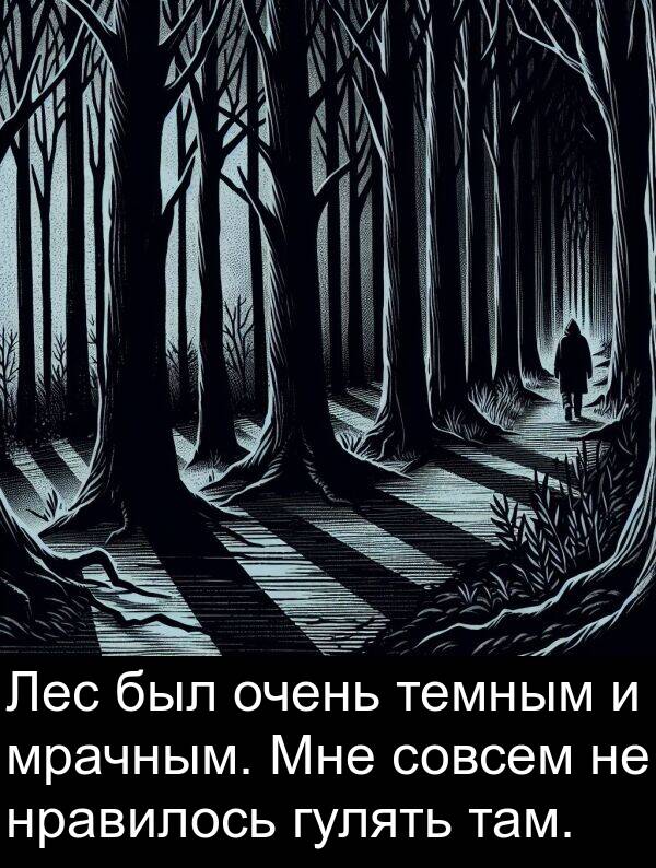 темным: Лес был очень темным и мрачным. Мне совсем не нравилось гулять там.