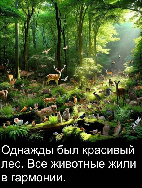 гармонии: Однажды был красивый лес. Все животные жили в гармонии.