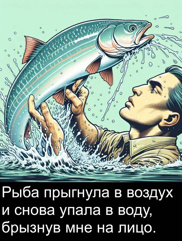 прыгнула: Рыба прыгнула в воздух и снова упала в воду, брызнув мне на лицо.